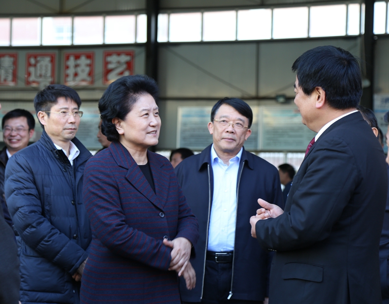 中共中央政治局委員、國務(wù)院副總理劉延?xùn)|在教育部副部長朱之文，四川省教育廳廳長朱世宏等陪同下視察四川應(yīng)用技術(shù)職業(yè)學院_副本.jpg
